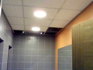 Foto_11