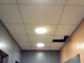 Foto_12