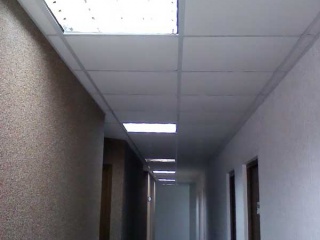 Foto_17